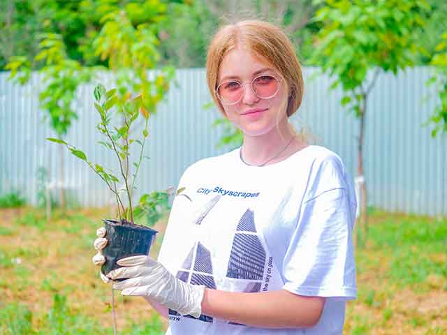Растения из пробирки: в «Кванториуме» Невинномысска приступили к новому проекту